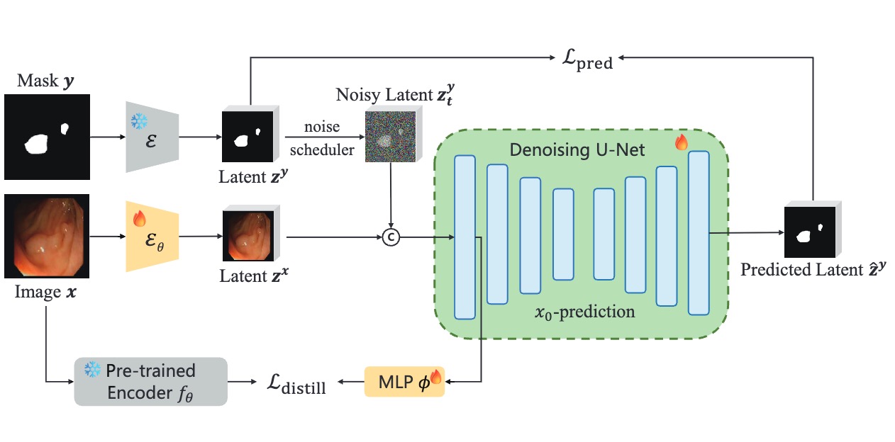 LEAF: Latent Diffusion with Efficient Encoder Distillation for Aligned Features in Medical Image Segmentation